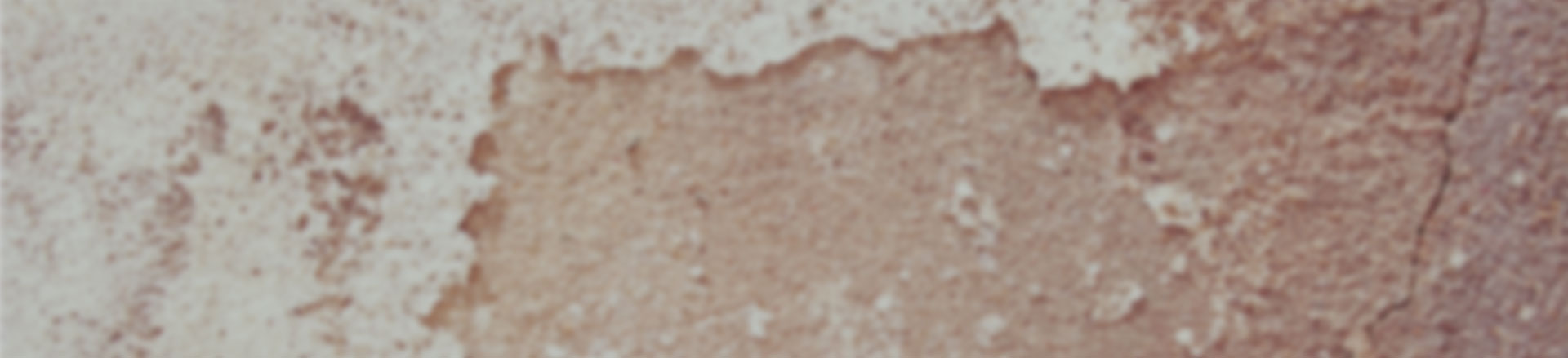 虚拟号码短信发送平台